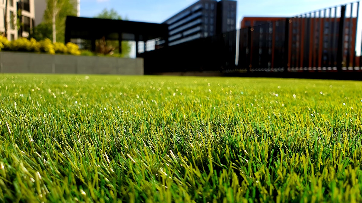 Garden and outdoor living